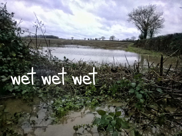 wet wet wet (1)