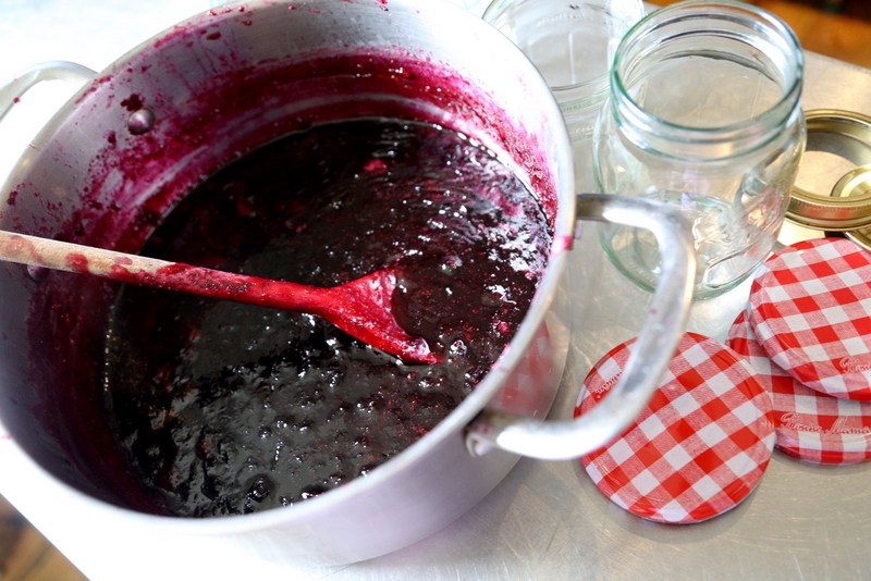 Blackcurrant and blueberry jam (11)