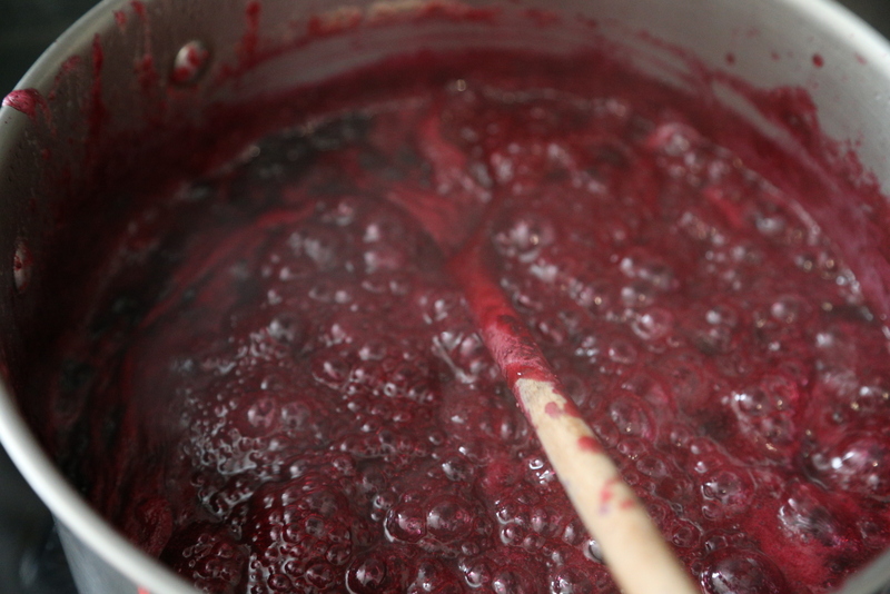 Blackcurrant and blueberry jam (7)