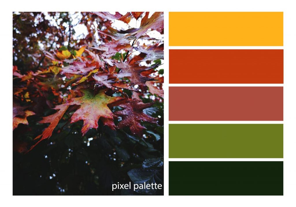 Autumn palette7